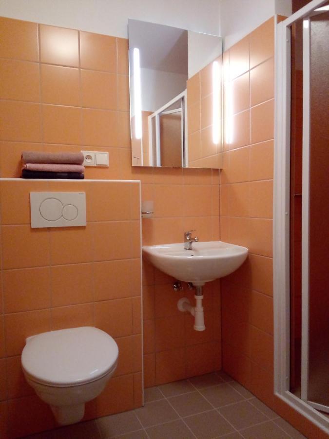 Apartman U Dubu Apartment Jablonné nad Orlicí Екстериор снимка